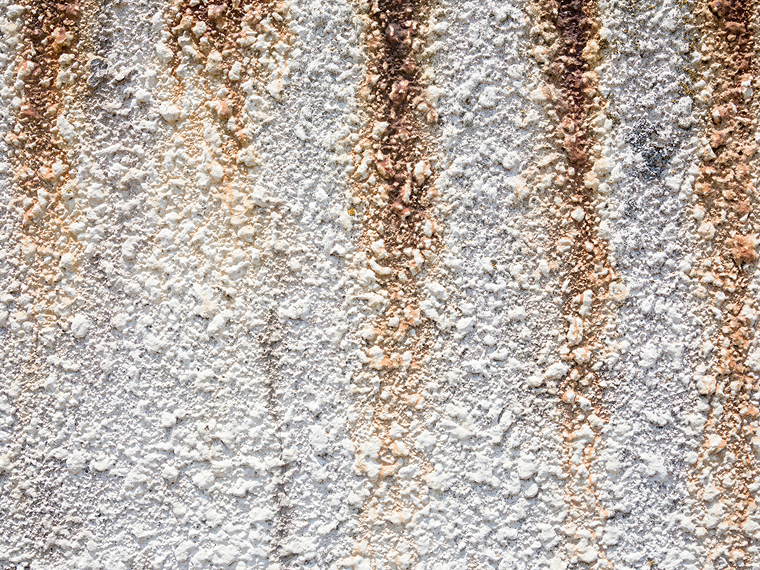 外壁や床の汚れが落ちにくく、見た目の劣化が目立ってきた